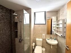 La Fiesta (D19), Condominium #484516231